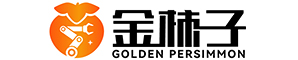 杭州金柿子智能科技有限公司